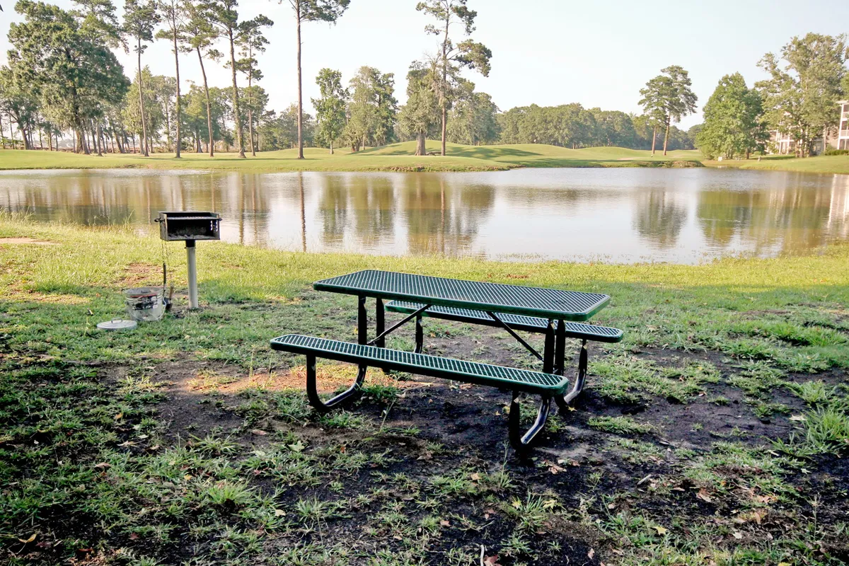 A relaxing outdoor scene featuring a picnic table, grill, serene lake, and trees, ideal for family picnics, barbecues, or quiet moments after a day of adventure. The space hints at opportunities for outdoor fun without leaving the property.